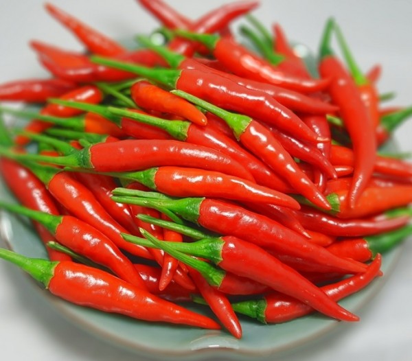 ớt trái